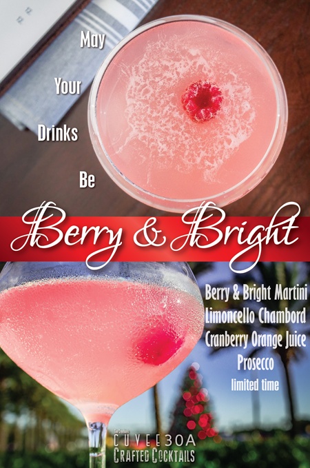 Berry & Bright Martini ~ Cuvee Crafted Cocktails