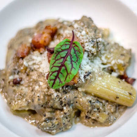 Rigatoni Pasta, Wild Mushroom Sauce, Crispy Pancetta and Rosemary