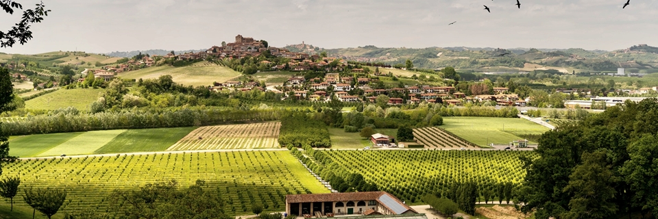 Italian Wine Country